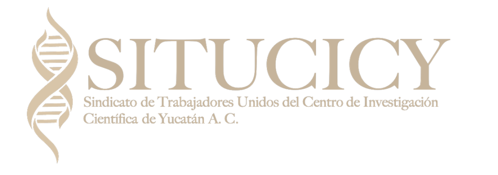 Logo situcicy